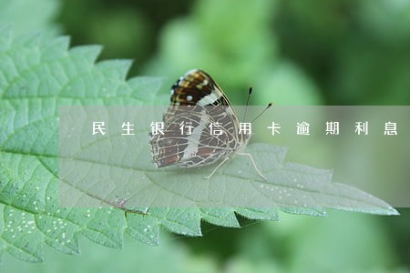 民生银行信用卡逾期利息翻倍 民生银行信用卡逾期利息翻倍