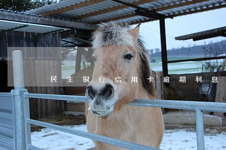 民生银行信用卡逾期利息高