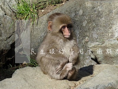 民生银行信用卡逾期加微信 民生银行信用卡逾期加微信