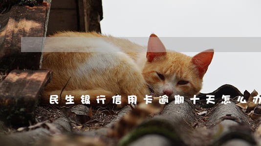 民生银行信用卡逾期十天怎么办