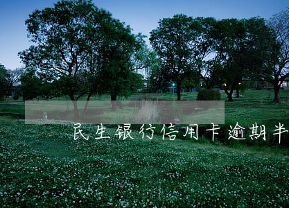 民生银行信用卡逾期半年了 民生银行信用卡逾期半年了