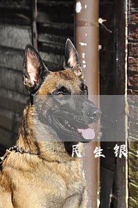 民生银行信用卡逾期半年会怎么样 民生银行信用卡逾期半年会怎么样