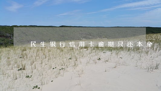 民生银行信用卡逾期只还本金 民生银行信用卡逾期只还本金