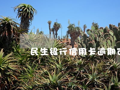 民生银行信用卡逾期可以协商吗