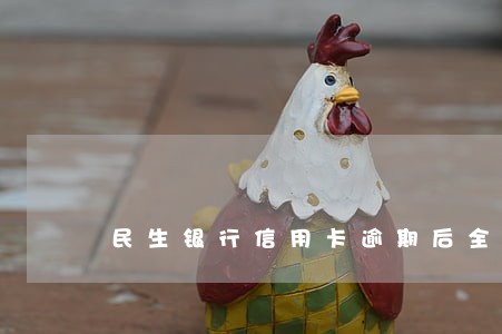 民生银行信用卡逾期后全额还款