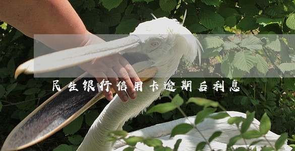 民生银行信用卡逾期后利息 民生银行信用卡逾期后利息