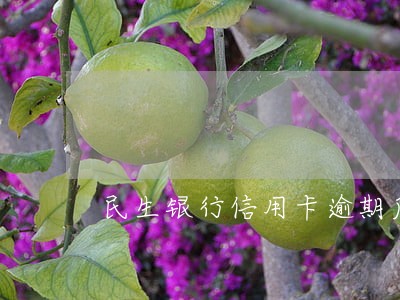 民生银行信用卡逾期后本息涨了 民生银行信用卡逾期后本息涨了