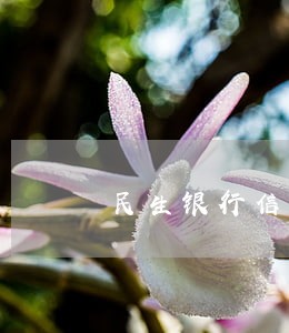 民生银行信用卡逾期后还清了 民生银行信用卡逾期后还清了