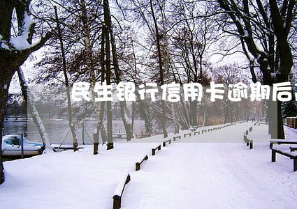 民生银行信用卡逾期后高利息 民生银行信用卡逾期后高利息