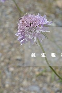 民生银行信用卡逾期告知函邮件 民生银行信用卡逾期告知函邮件