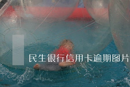 民生银行信用卡逾期图片 民生银行信用卡逾期图片