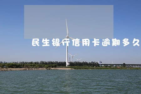 民生银行信用卡逾期多久会被批 民生银行信用卡逾期多久会被批