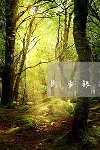 民生银行信用卡逾期多久可以分期