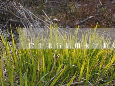 民生银行信用卡逾期多久可以还 民生银行信用卡逾期多久可以还