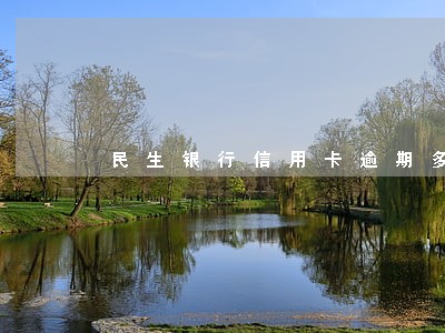 民生银行信用卡逾期多久报警 民生银行信用卡逾期多久报警