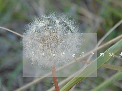 民生银行信用卡逾期多久解冻