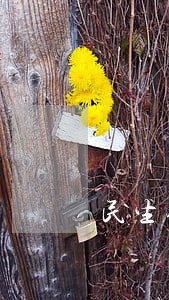民生银行信用卡逾期多久降额 民生银行信用卡逾期多久降额