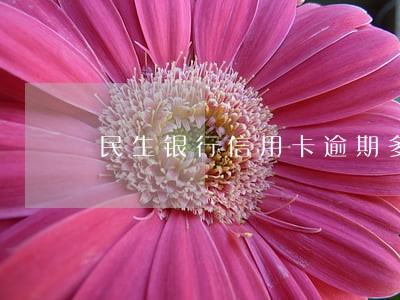 民生银行信用卡逾期多长时间会停 民生银行信用卡逾期多长时间会停