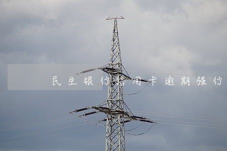 民生银行信用卡逾期强行划账