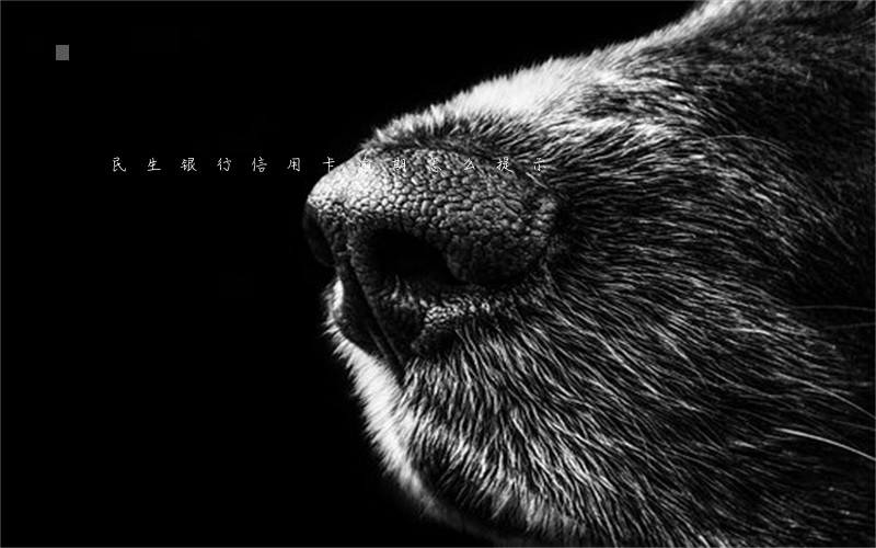 民生银行信用卡逾期怎么提示