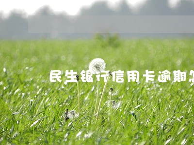 民生银行信用卡逾期怎么收费 民生银行信用卡逾期怎么收费
