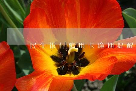 民生银行信用卡逾期提醒岗位