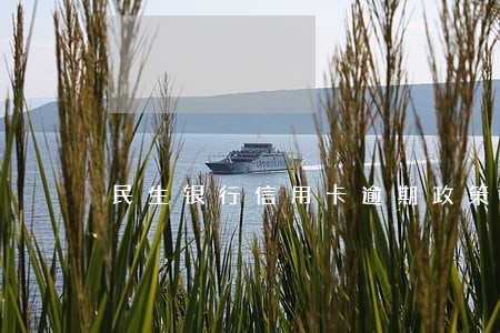 民生银行信用卡逾期政策 民生银行信用卡逾期政策