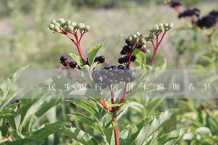 民生银行信用卡逾期春节限行 民生银行信用卡逾期春节限行