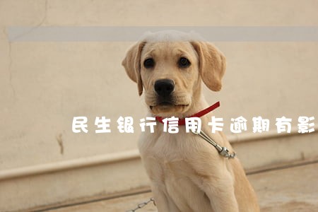 民生银行信用卡逾期有影响吗 民生银行信用卡逾期有影响吗