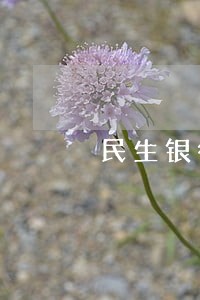 民生银行信用卡逾期有机会分期吗 民生银行信用卡逾期有机会分期吗