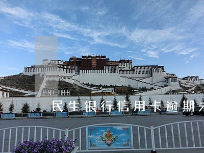 民生银行信用卡逾期未还款