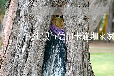 民生银行信用卡逾期来家访