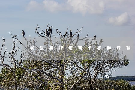民生银行信用卡逾期标准 民生银行信用卡逾期标准