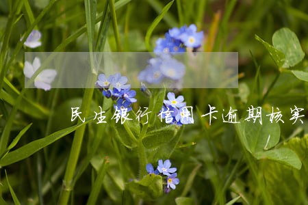 民生银行信用卡逾期核实单位电话