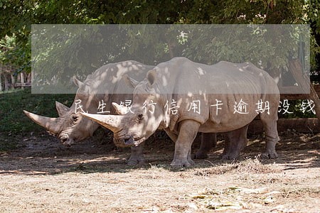 民生银行信用卡逾期没钱还 民生银行信用卡逾期没钱还
