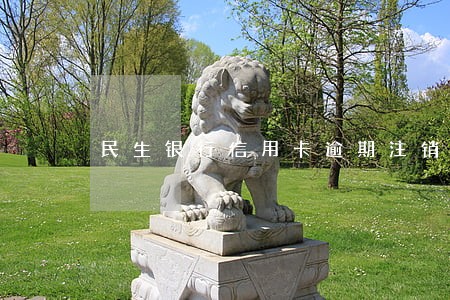 民生银行信用卡逾期注销再申请 民生银行信用卡逾期注销再申请