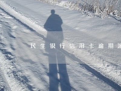 民生银行信用卡逾期派出所做笔录 民生银行信用卡逾期派出所做笔录