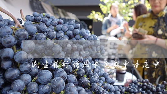民生银行信用卡逾期申请庭审 民生银行信用卡逾期申请庭审