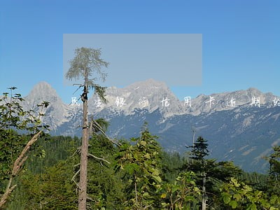 民生银行信用卡逾期的后果