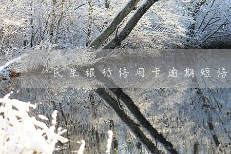 民生银行信用卡逾期短信通知