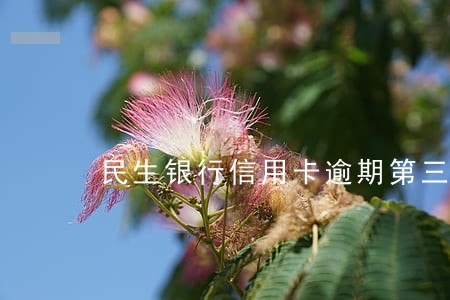 民生银行信用卡逾期第三方报警 民生银行信用卡逾期第三方报警