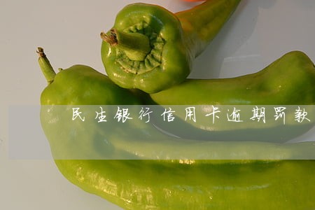 民生银行信用卡逾期罚款