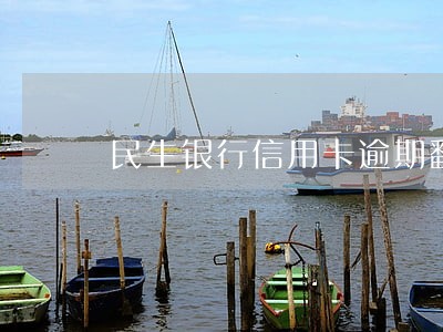 民生银行信用卡逾期翻 民生银行信用卡逾期翻