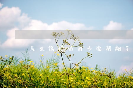 民生银行信用卡逾期翻了一倍 民生银行信用卡逾期翻了一倍