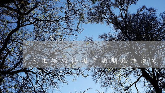 民生银行信用卡逾期能协商吗 民生银行信用卡逾期能协商吗