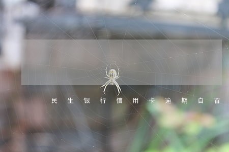 民生银行信用卡逾期自首 民生银行信用卡逾期自首