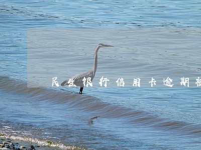 民生银行信用卡逾期被证券化 民生银行信用卡逾期被证券化