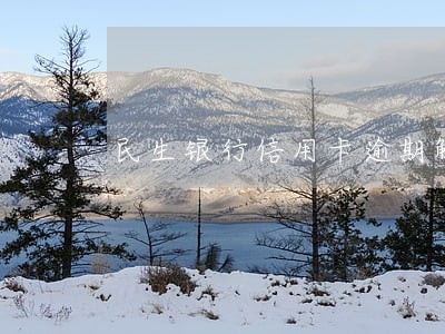 民生银行信用卡逾期解冻 民生银行信用卡逾期解冻