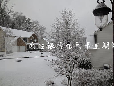 民生银行信用卡逾期解封条件 民生银行信用卡逾期解封条件