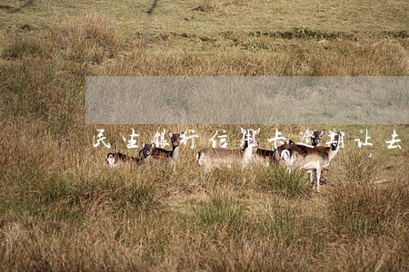 民生银行信用卡逾期让去当地面谈